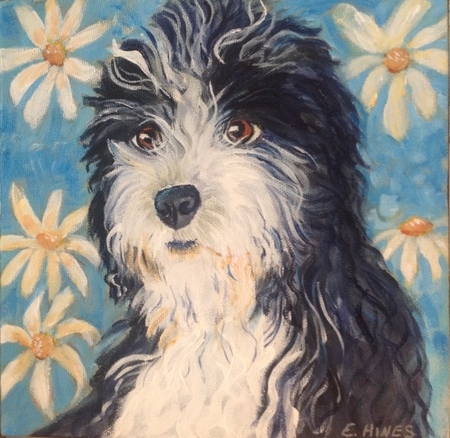 Daisy